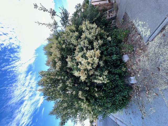 image0.jpeg