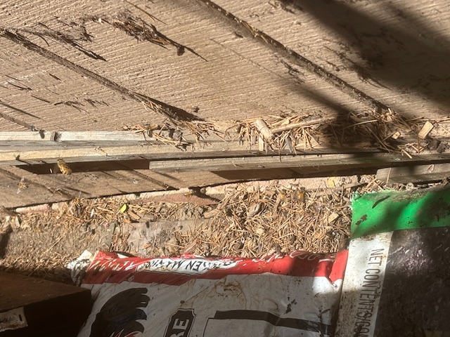image0.jpeg