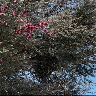 image0.jpeg