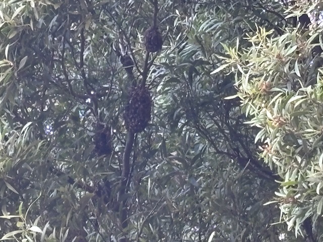 IMG_4166.jpeg