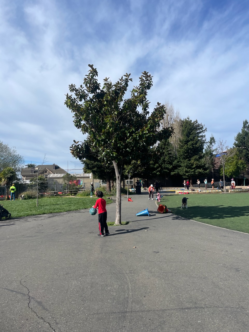 park.jpg