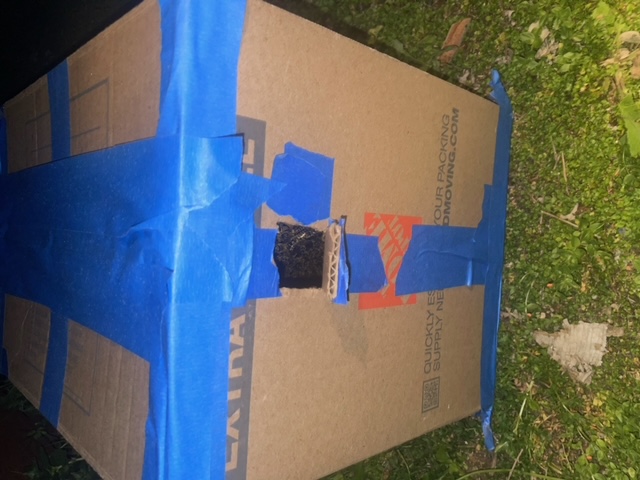 image2.jpeg
