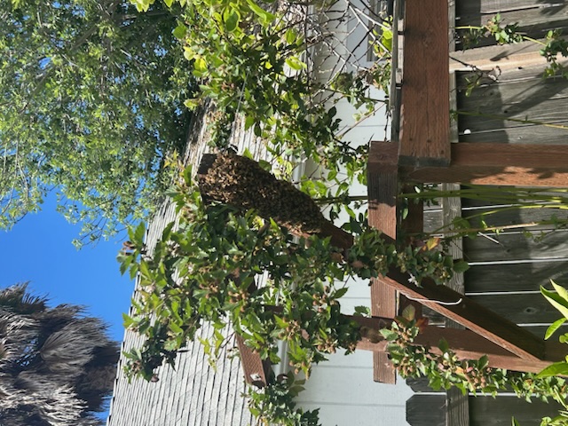 IMG_9886.jpeg