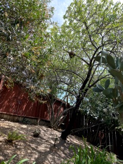 Resized_IMG_3046.jpeg