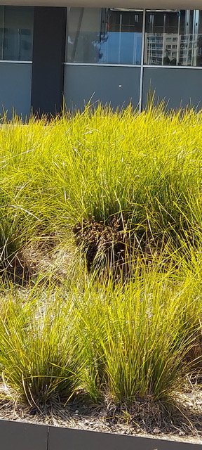 20260509_152730.jpeg