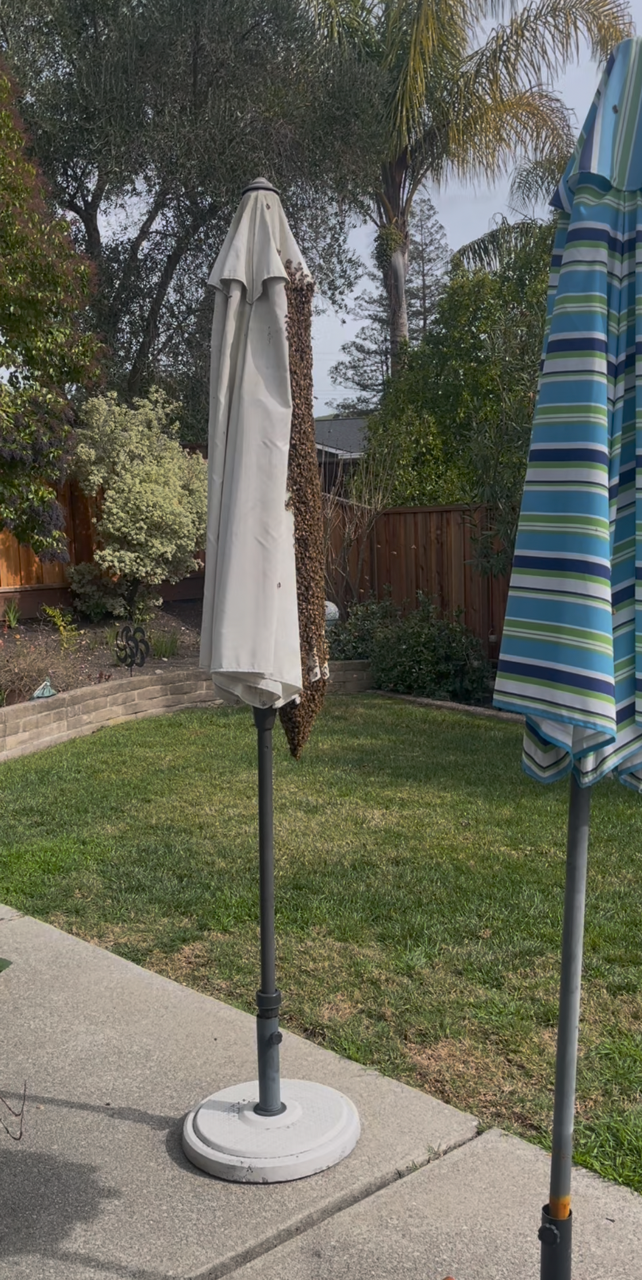 Screenshot 2026-02-20 at 1.45.30 PM.png